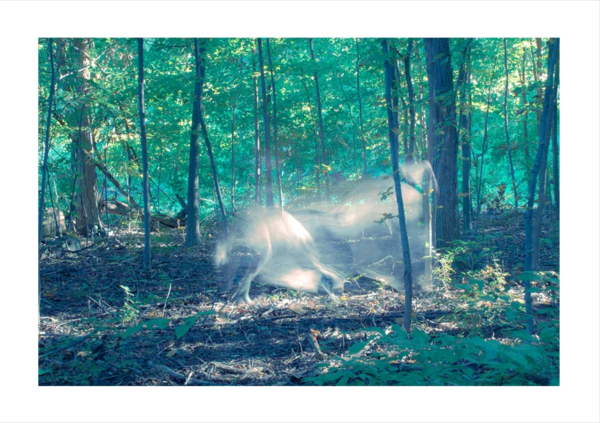 print template ghost2.jpg