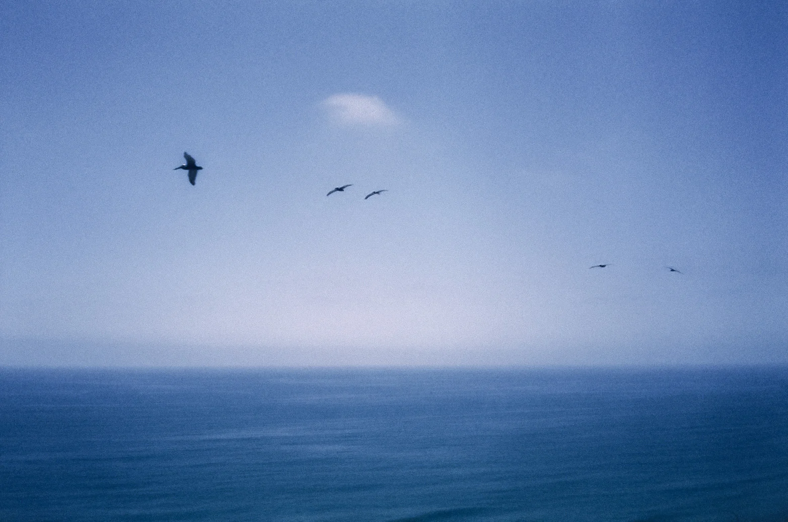 Kara Hamilton Environments 02.jpg