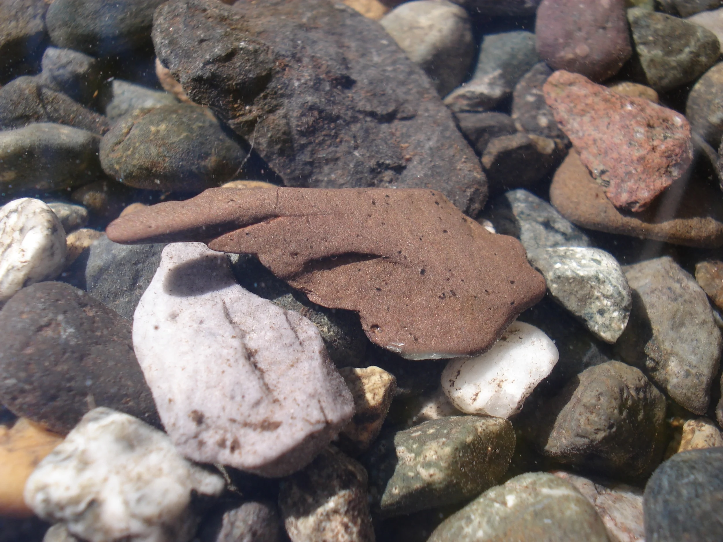 Stone