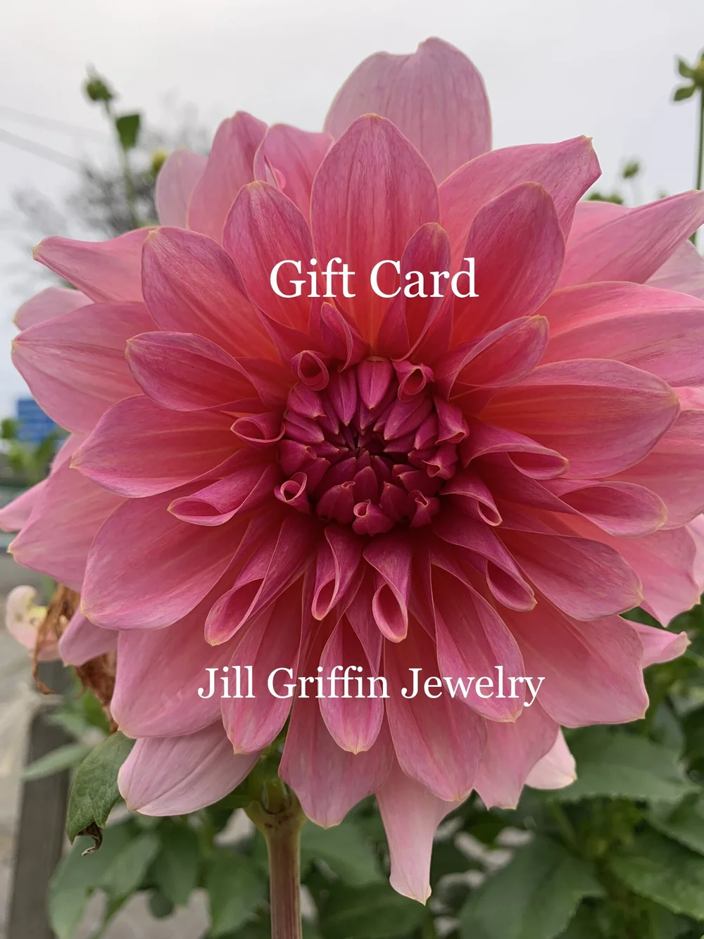 Gift Card — Jill Griffin Jewelry