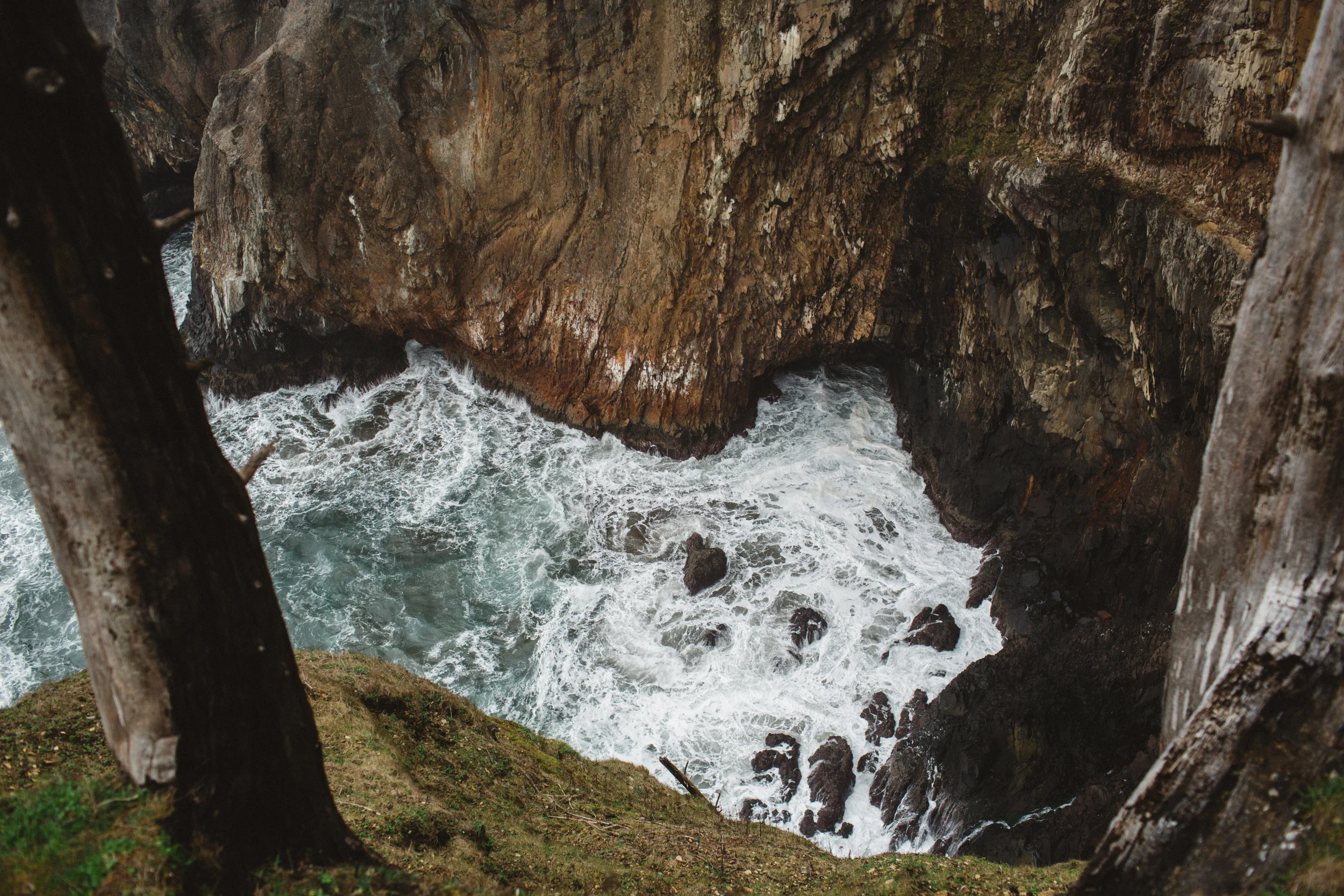 Shea Engagement06.jpg