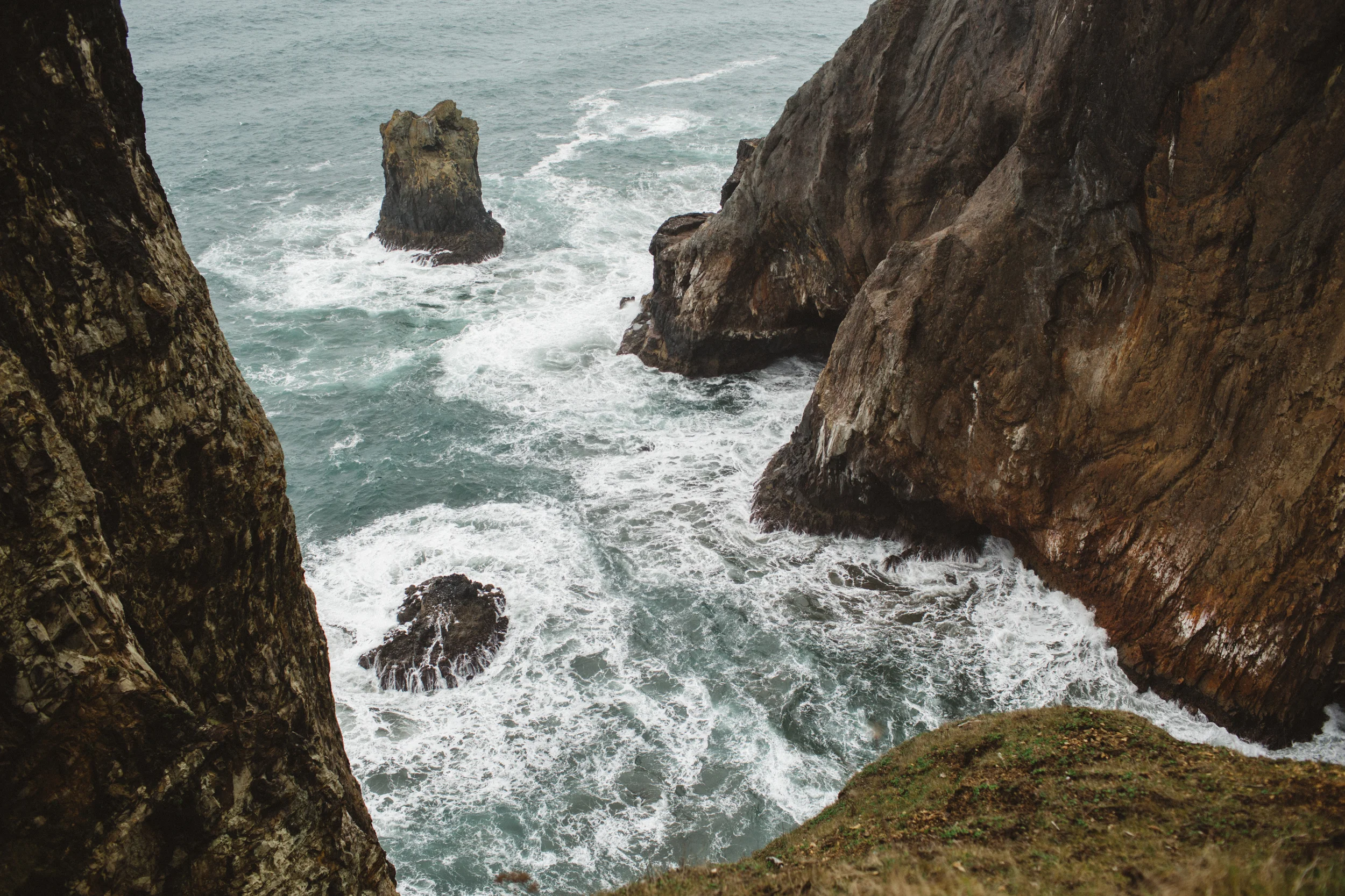 Shea Engagement23.jpg