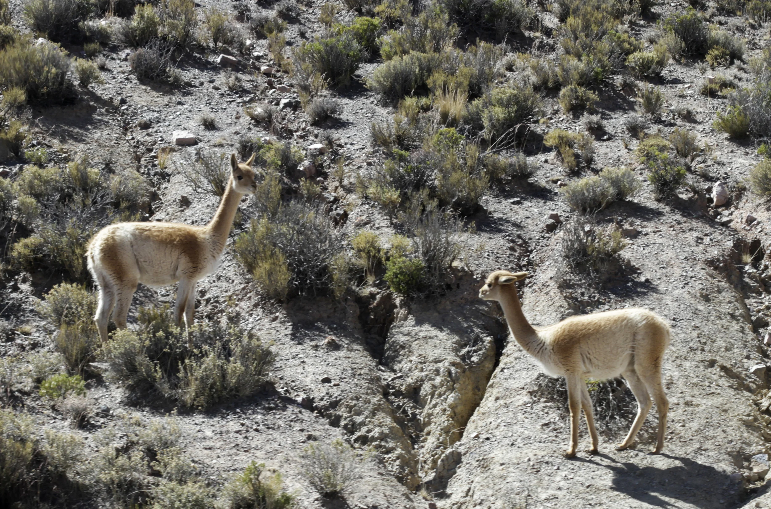 081712_salta_0334_1.jpg