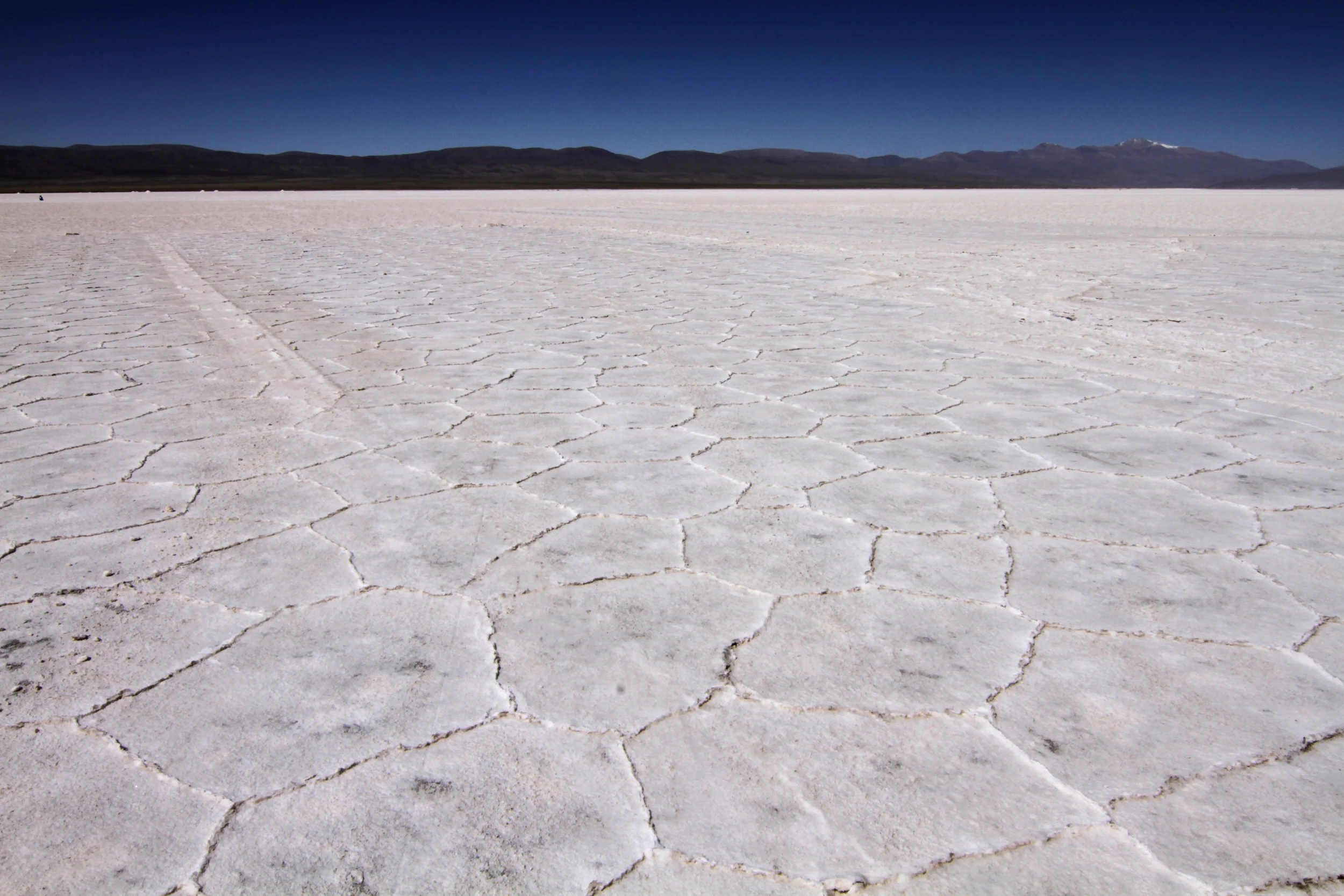 081712_salta_0370_1.jpg