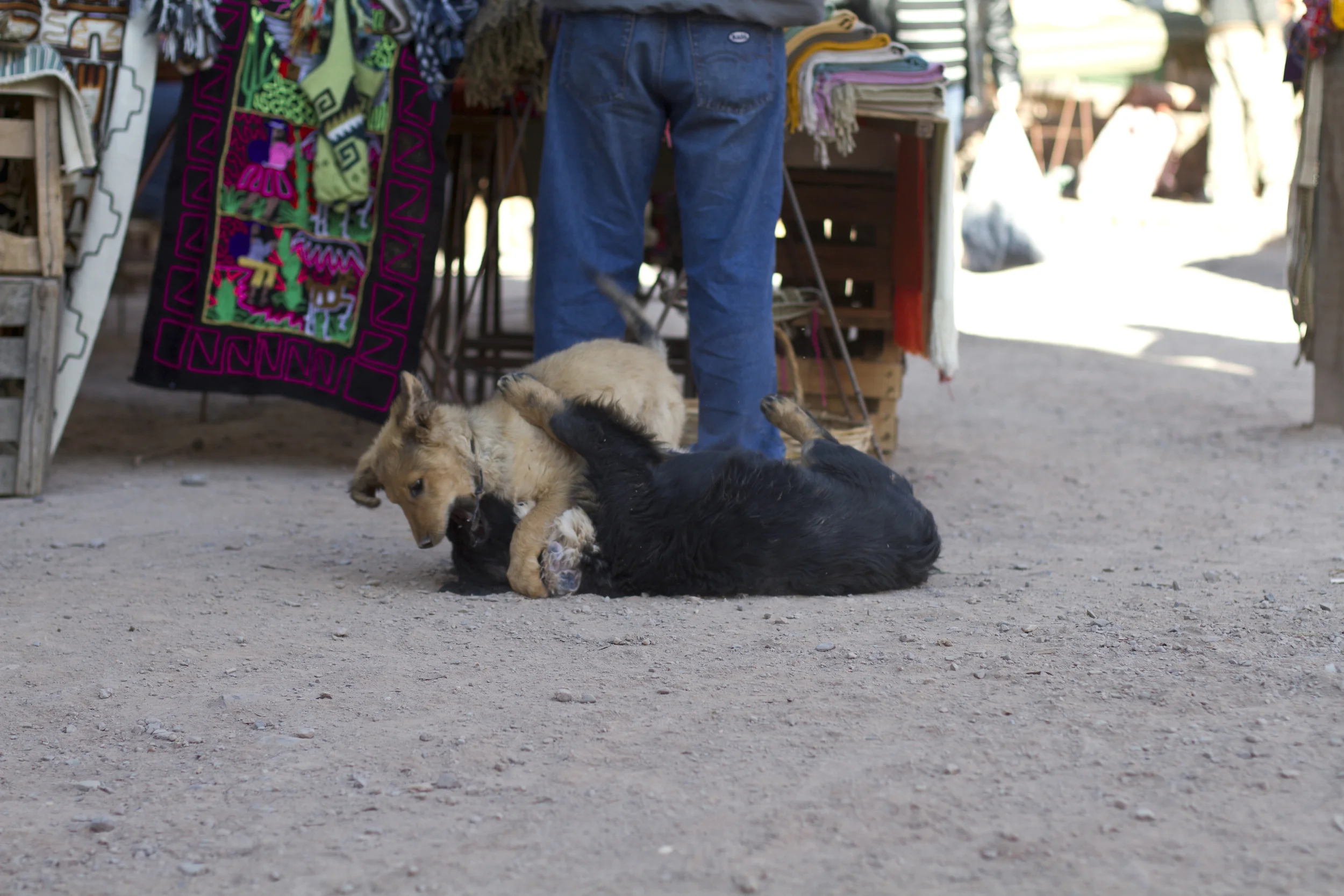 081812_salta_0043.jpg