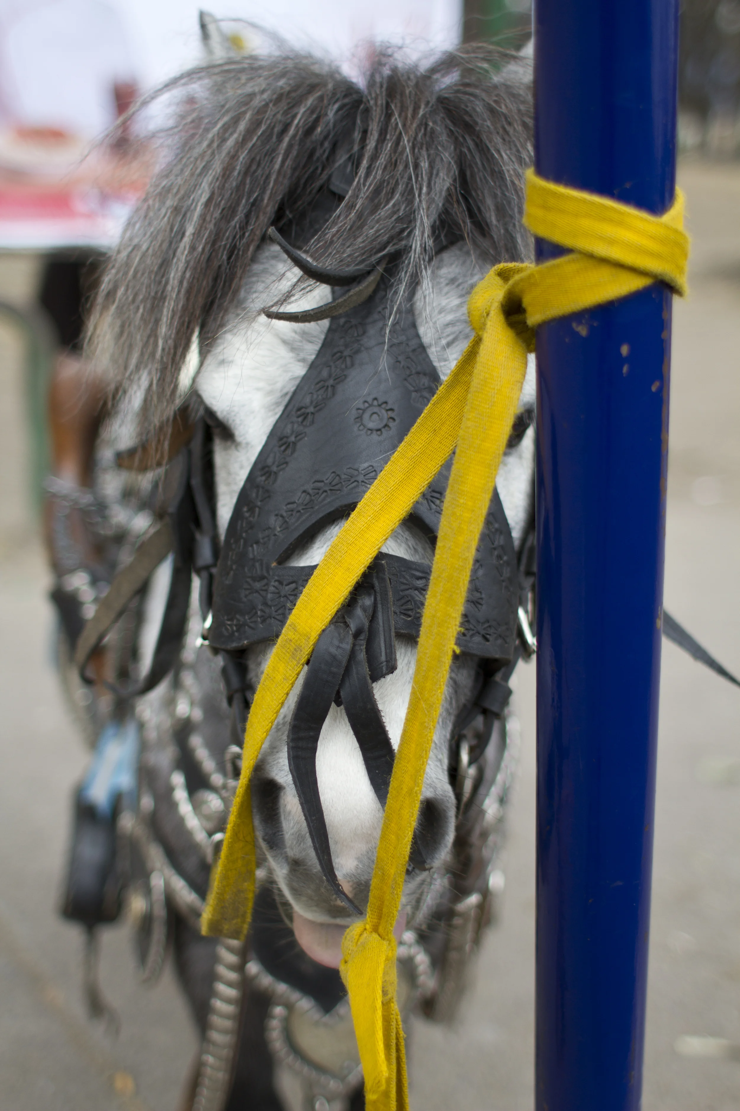 081812_salta_0211.jpg