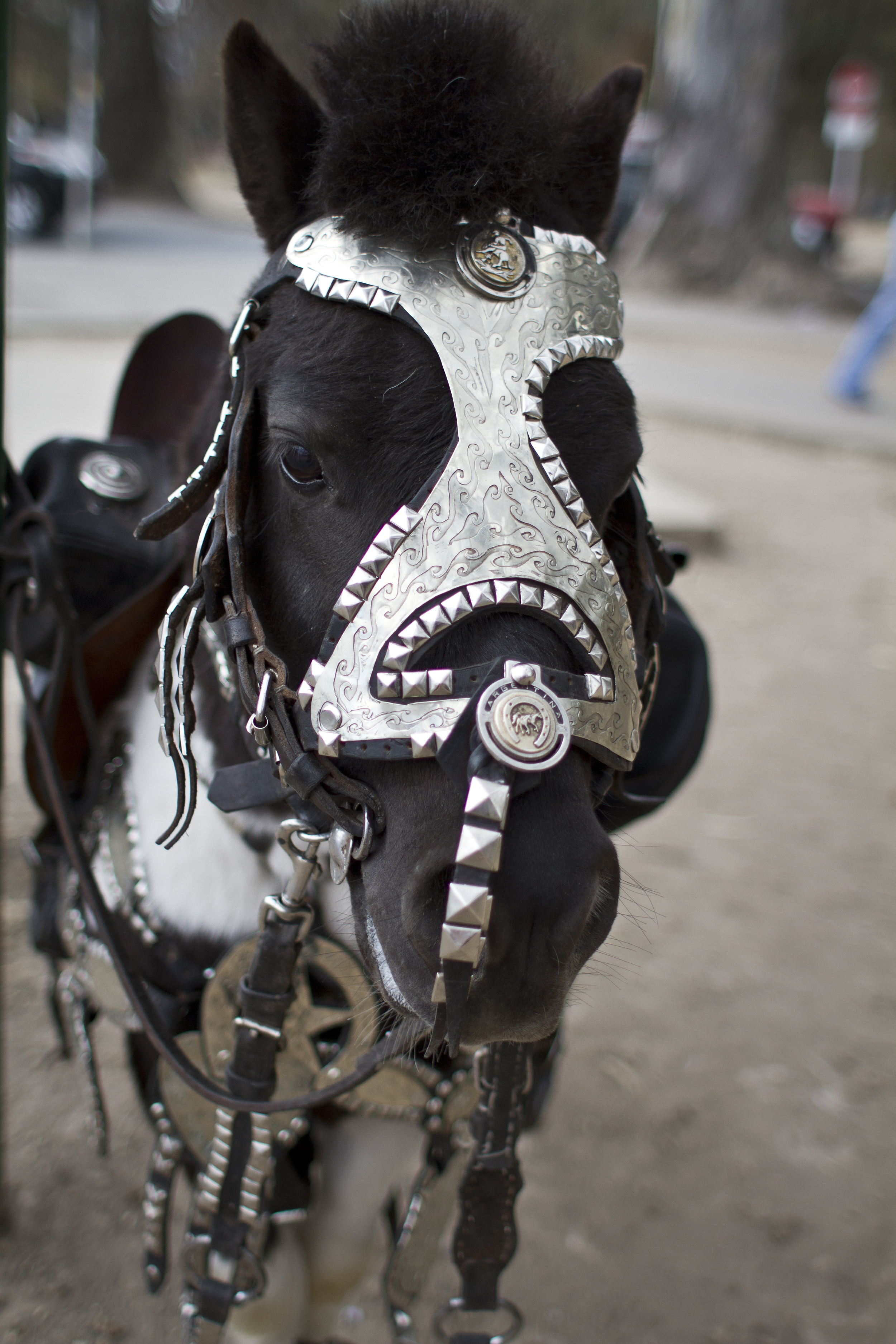 081812_salta_0212.jpg