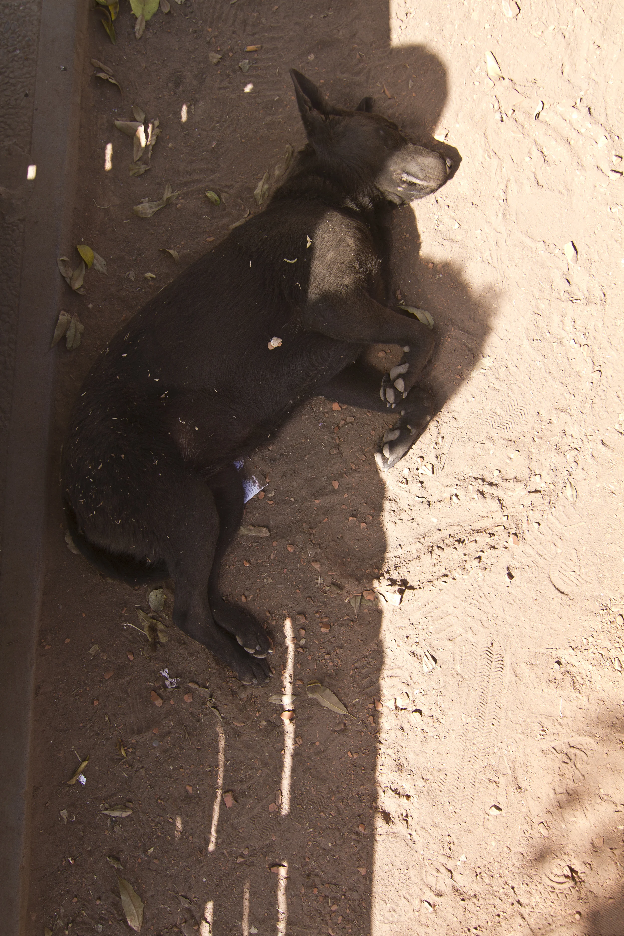 081812_salta_0247.jpg