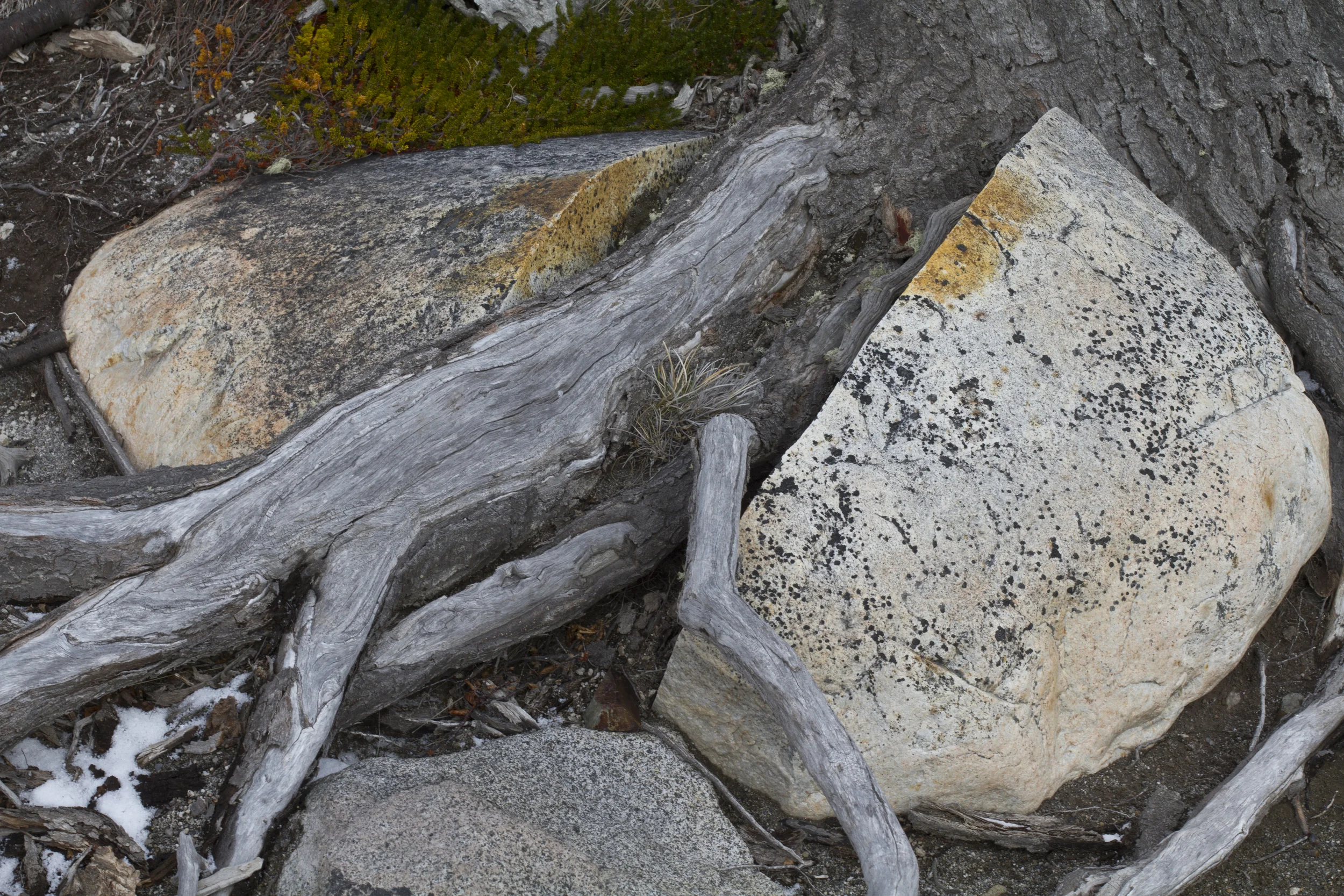 100412_0437.jpg