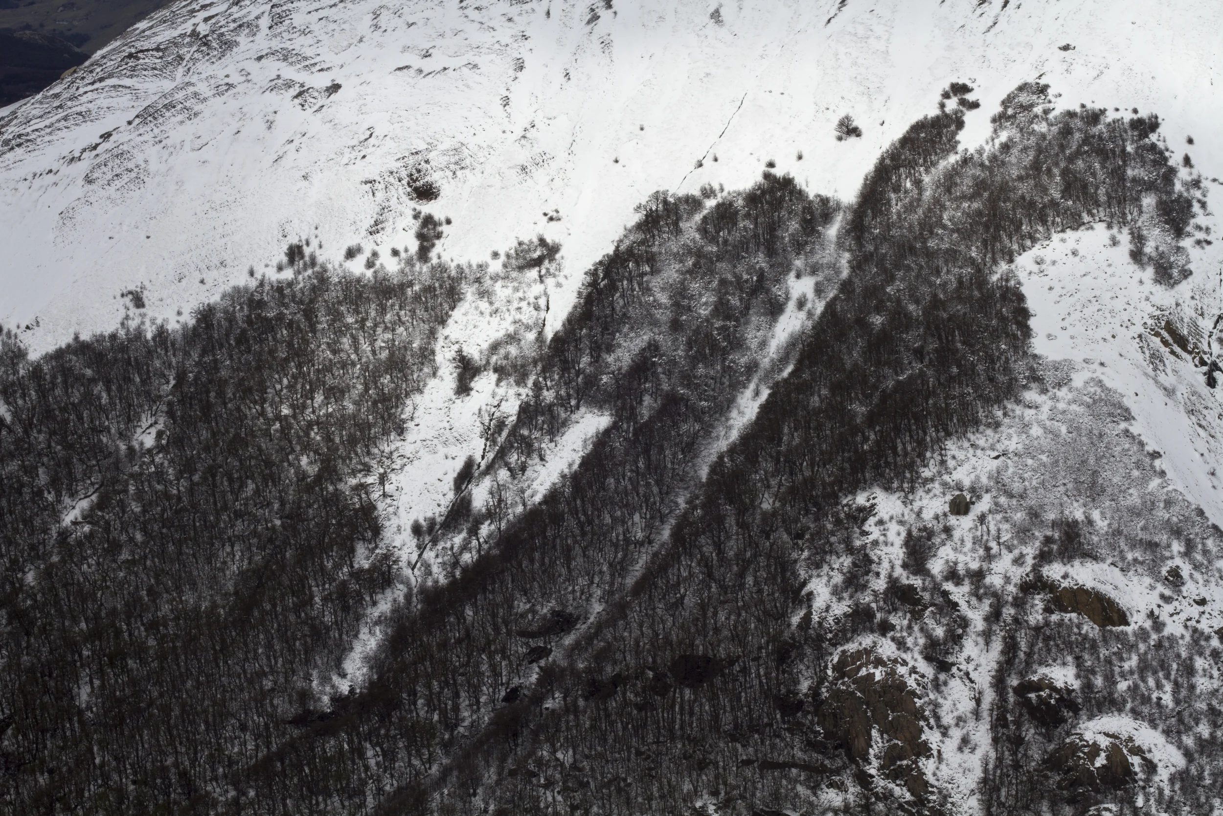 100412_0507.jpg