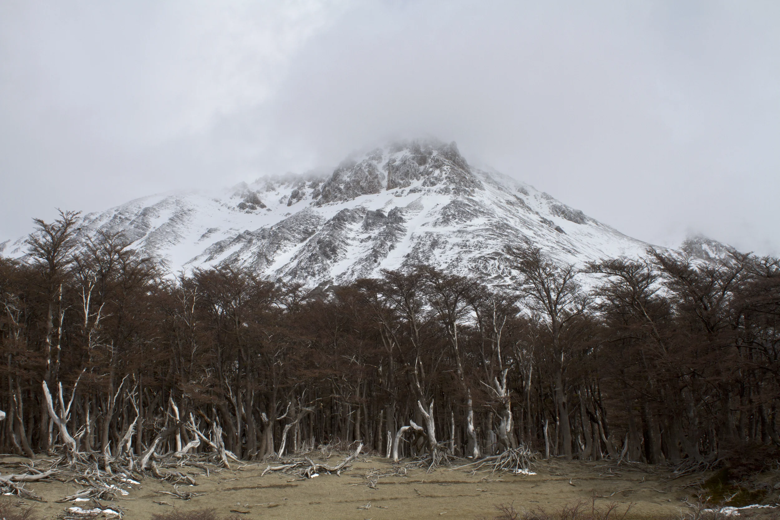 100412_0532.jpg