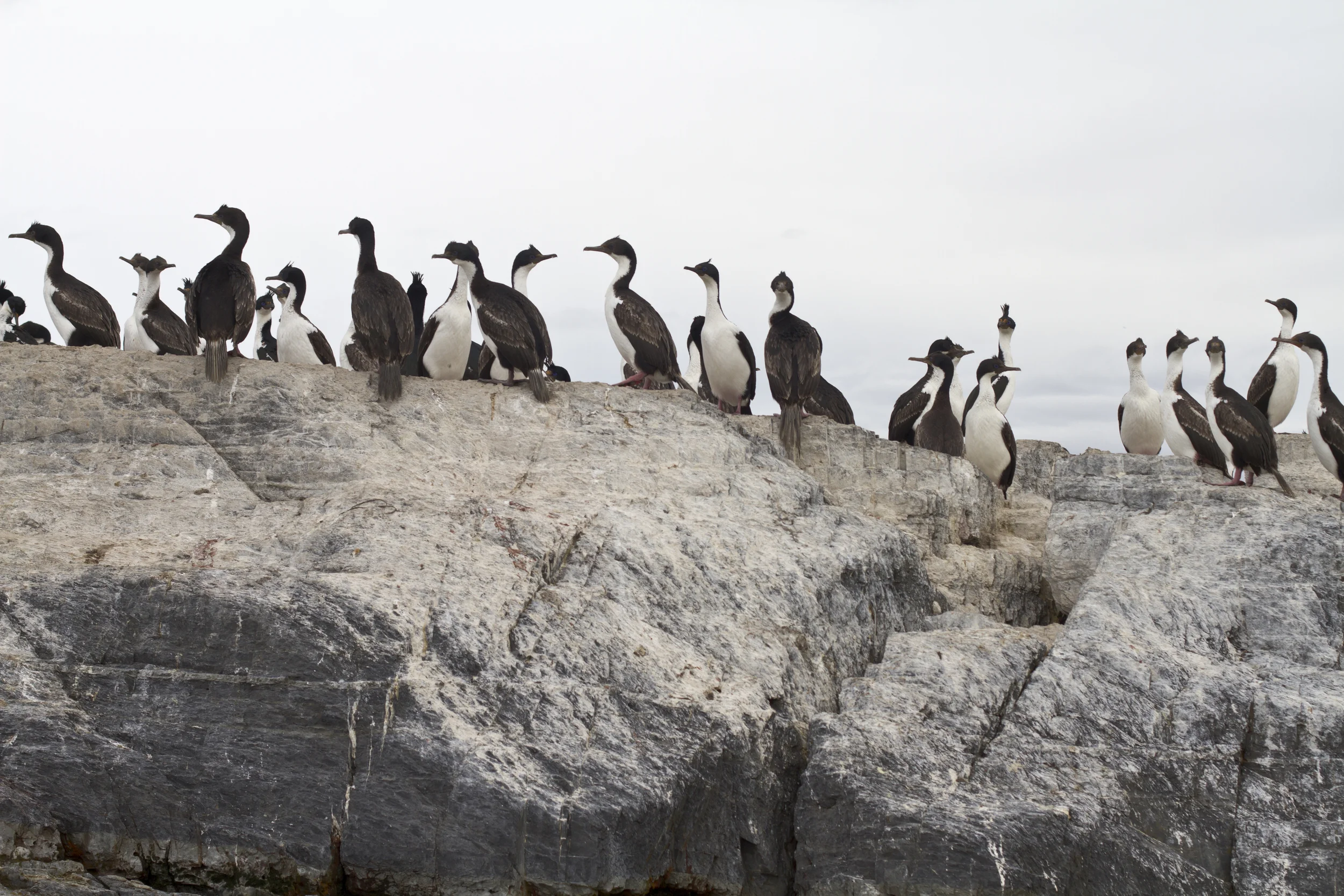 100912_patagonia_1318.jpg