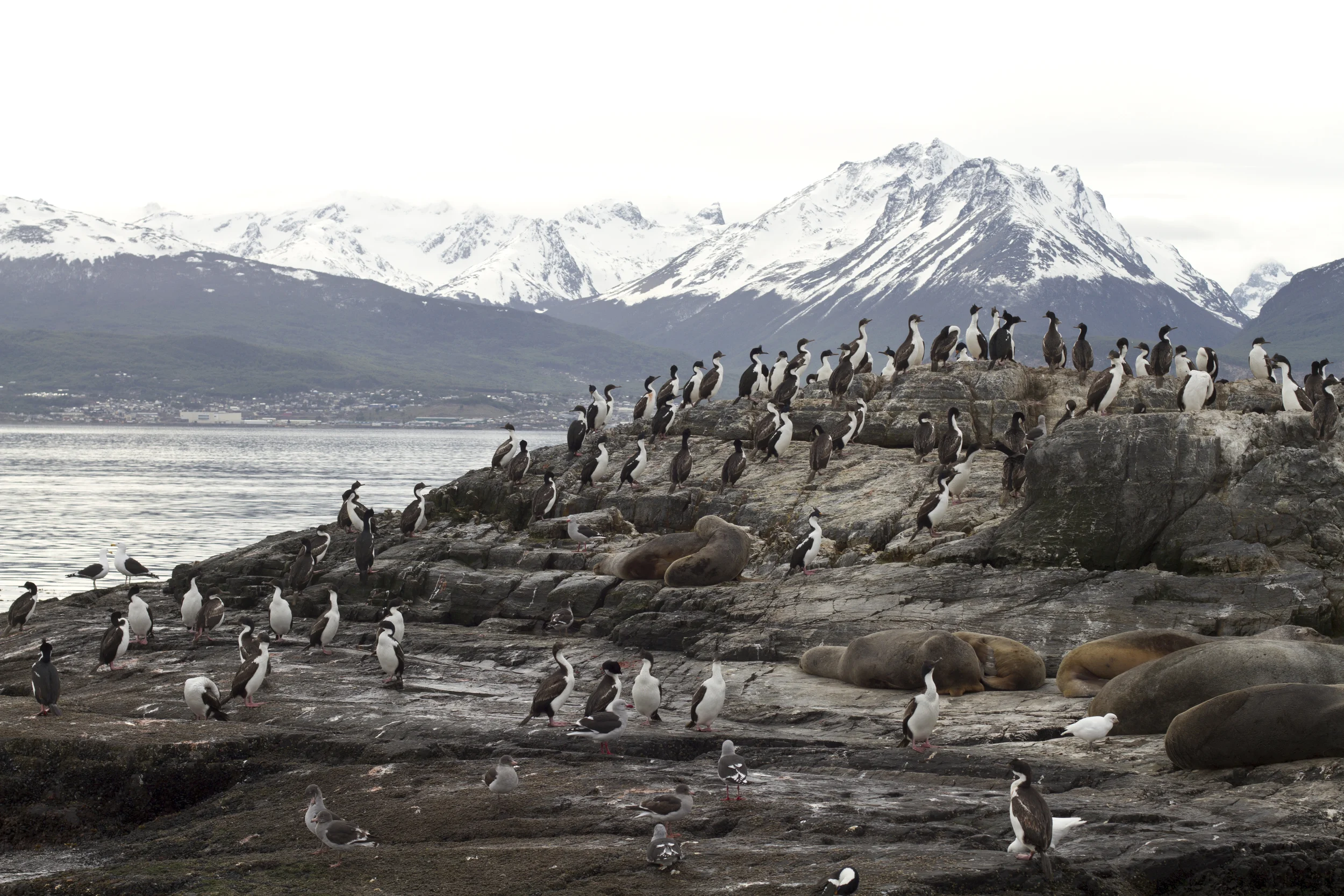 100912_patagonia_1329.jpg