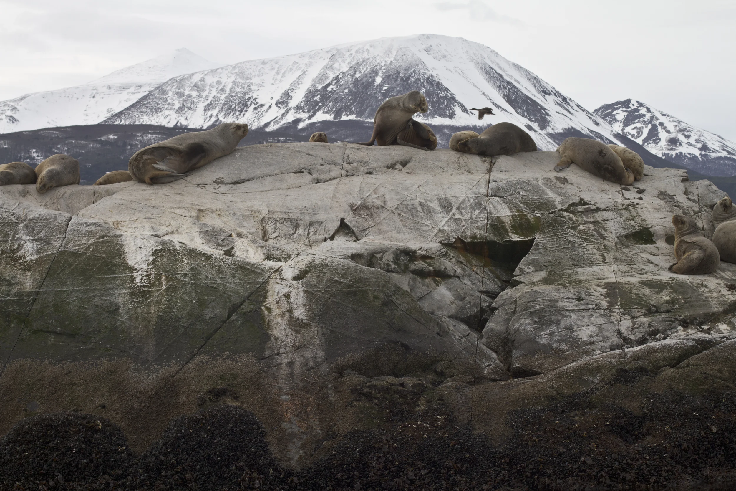 100912_patagonia_1357.jpg