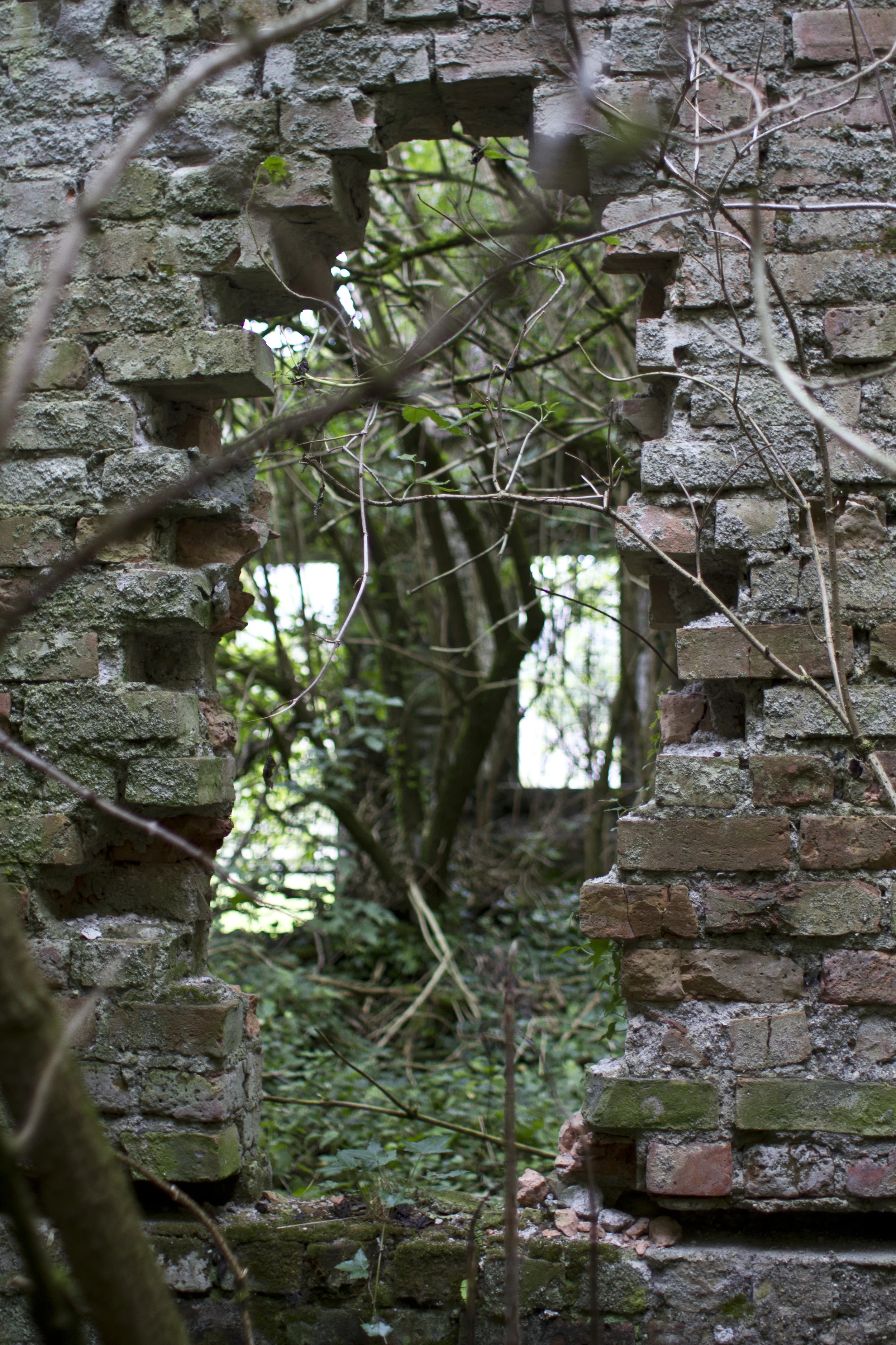 Ireland_090711_0423.jpg