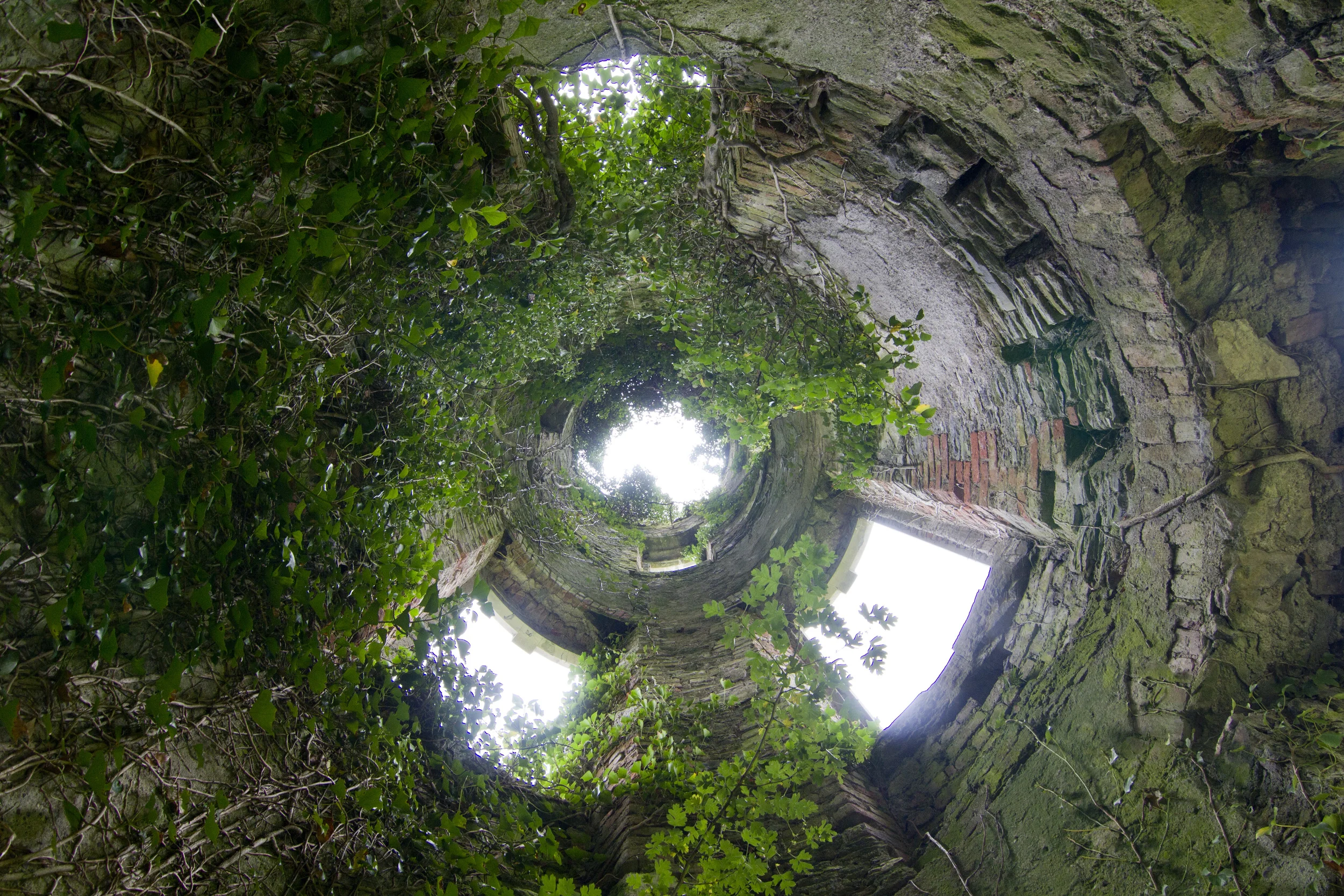 Ireland_090711_0417.jpg