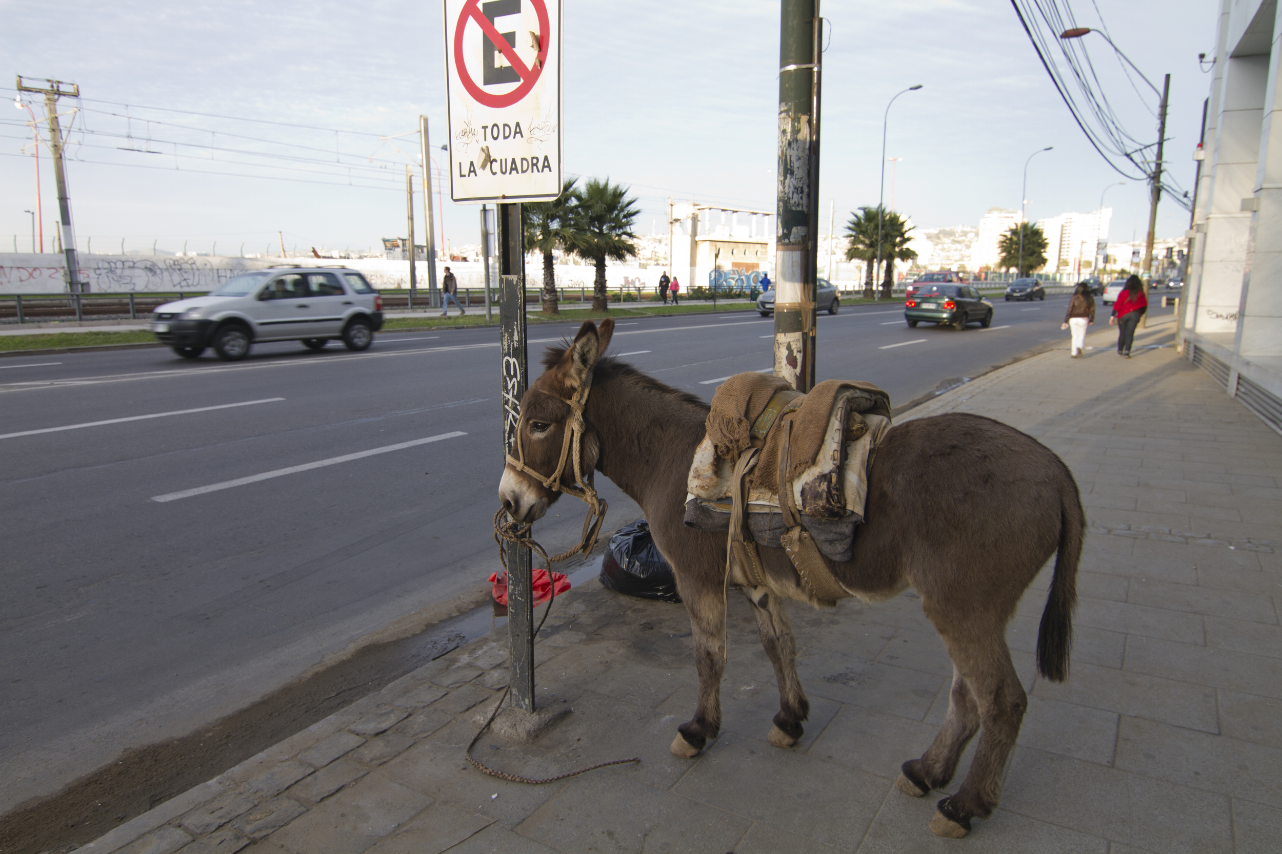 072312_South America_0127.jpg