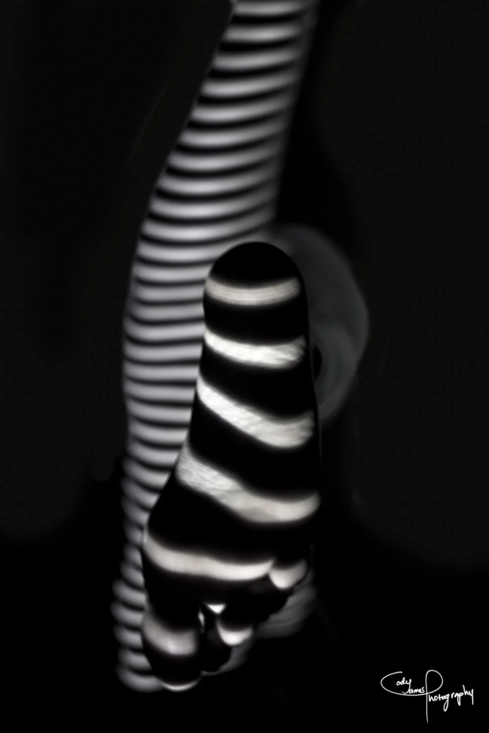 030412_Body Topography_0070.jpg