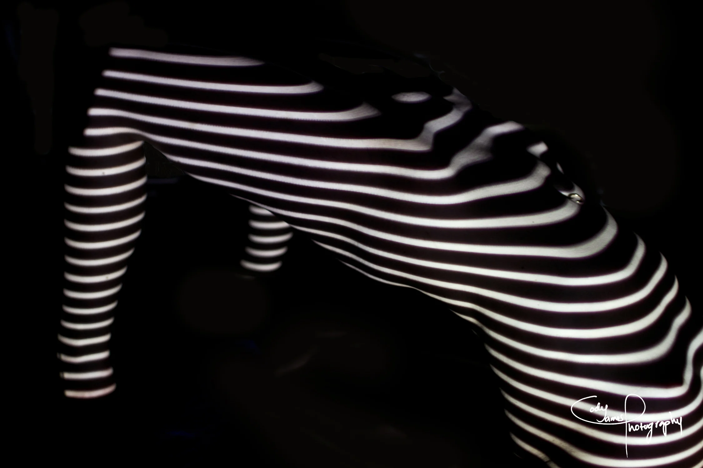 030412_Body Topography_0083.jpg