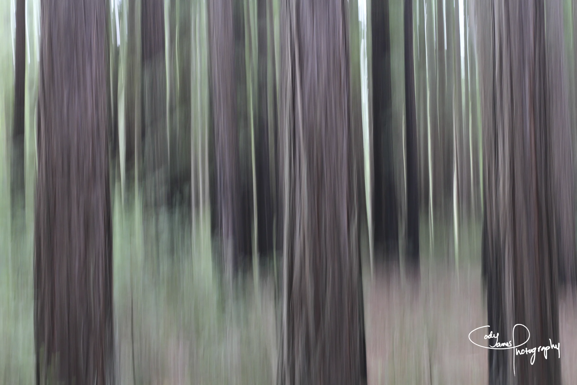 041010_0086 copy.jpg
