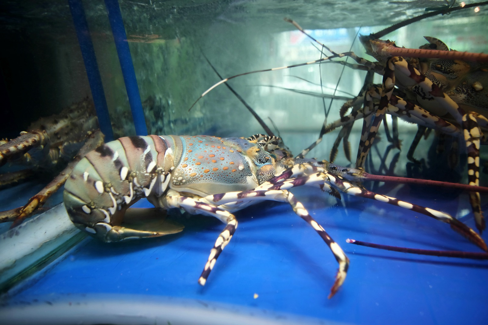 hanoi-vietnam_17498628672_o.jpg