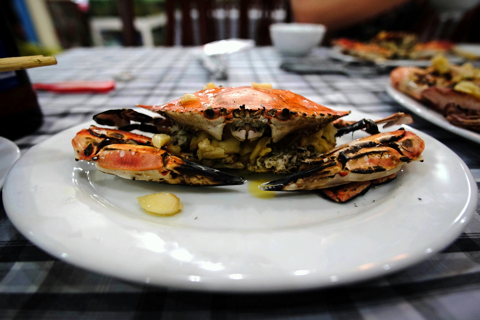 cat-ba-island--lan-ha-bay-vietnam_17501467675_o.jpg