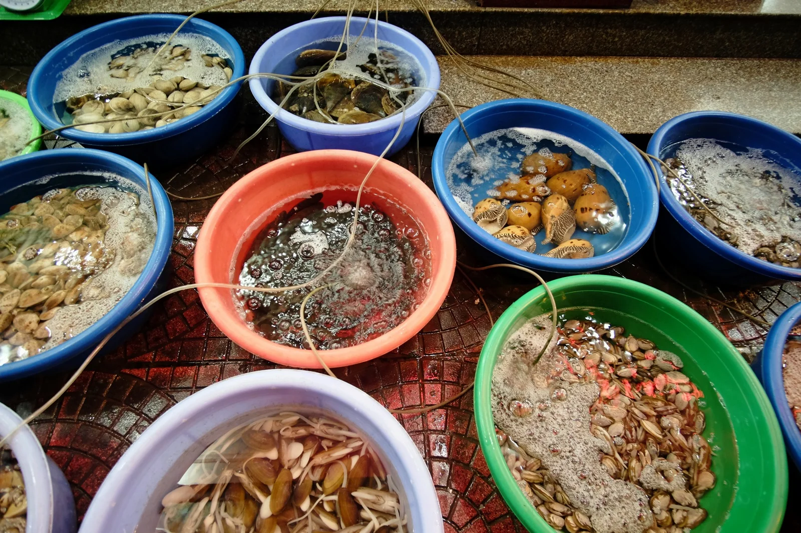 cat-ba-island--lan-ha-bay-vietnam_16881162263_o.jpg