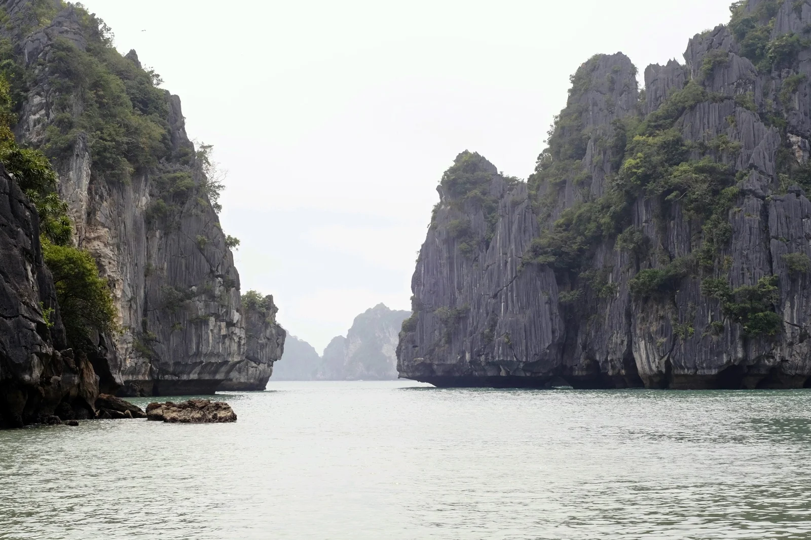 cat-ba-island--lan-ha-bay-vietnam_17474916946_o.jpg