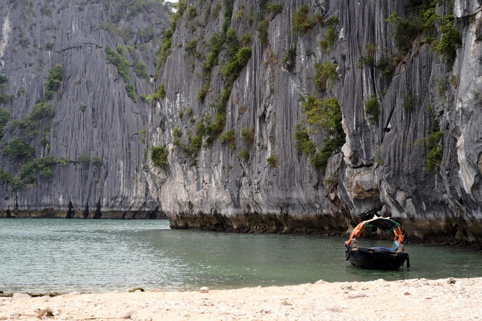 cat-ba-island--lan-ha-bay-vietnam_17499102382_o.jpg