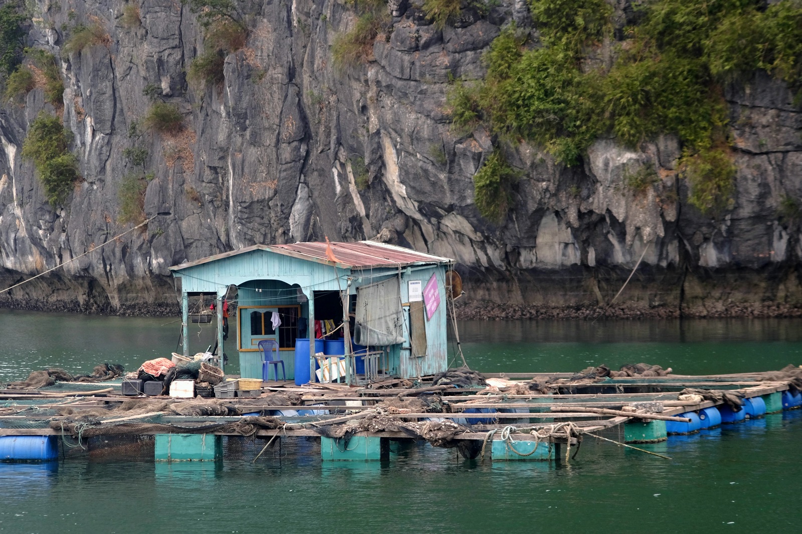 cat-ba-island--lan-ha-bay-vietnam_17500726345_o.jpg