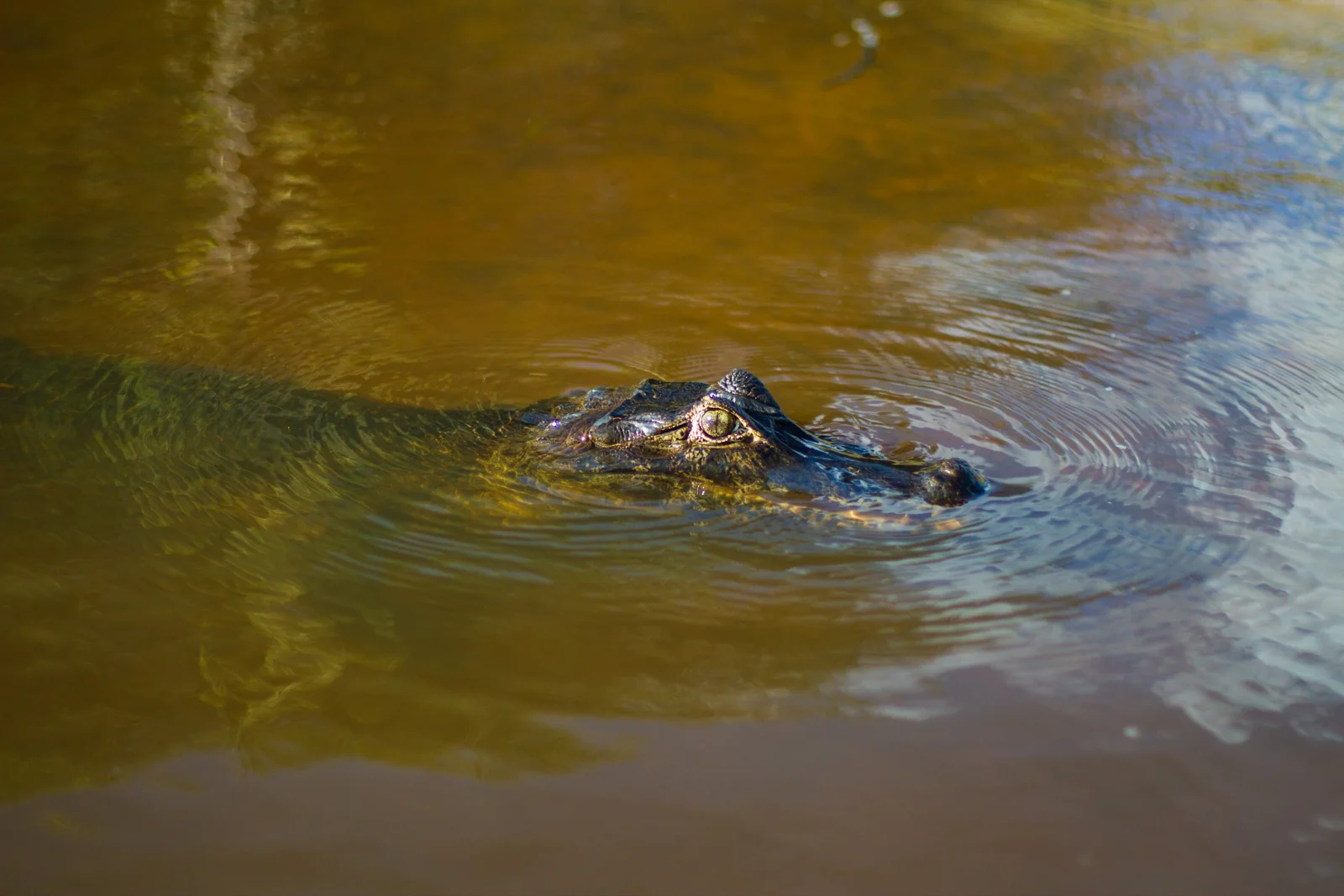 20121203-untitled shoot-IMG_6641.jpg