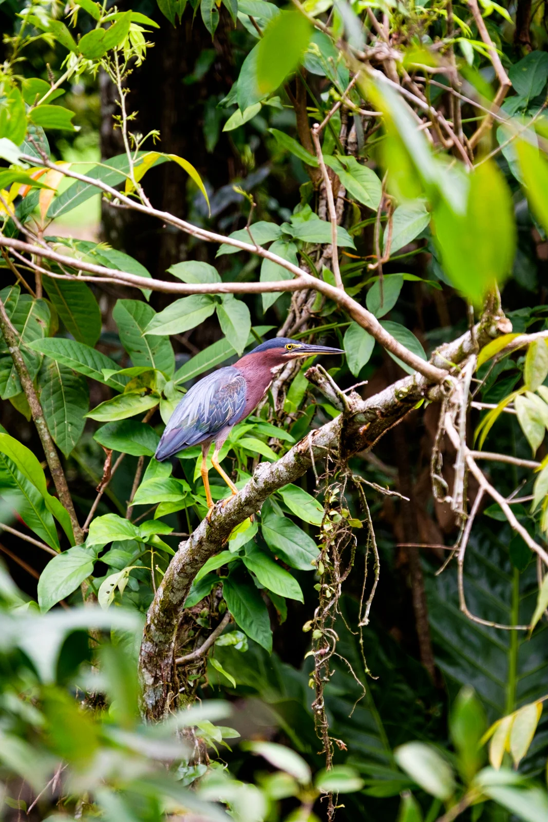 DSCF2990.jpg