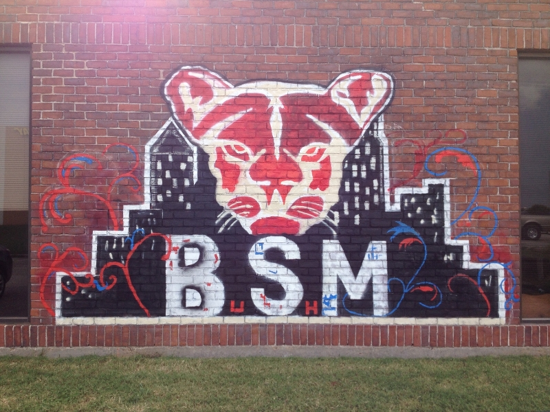 UH BSM Graffiti Art