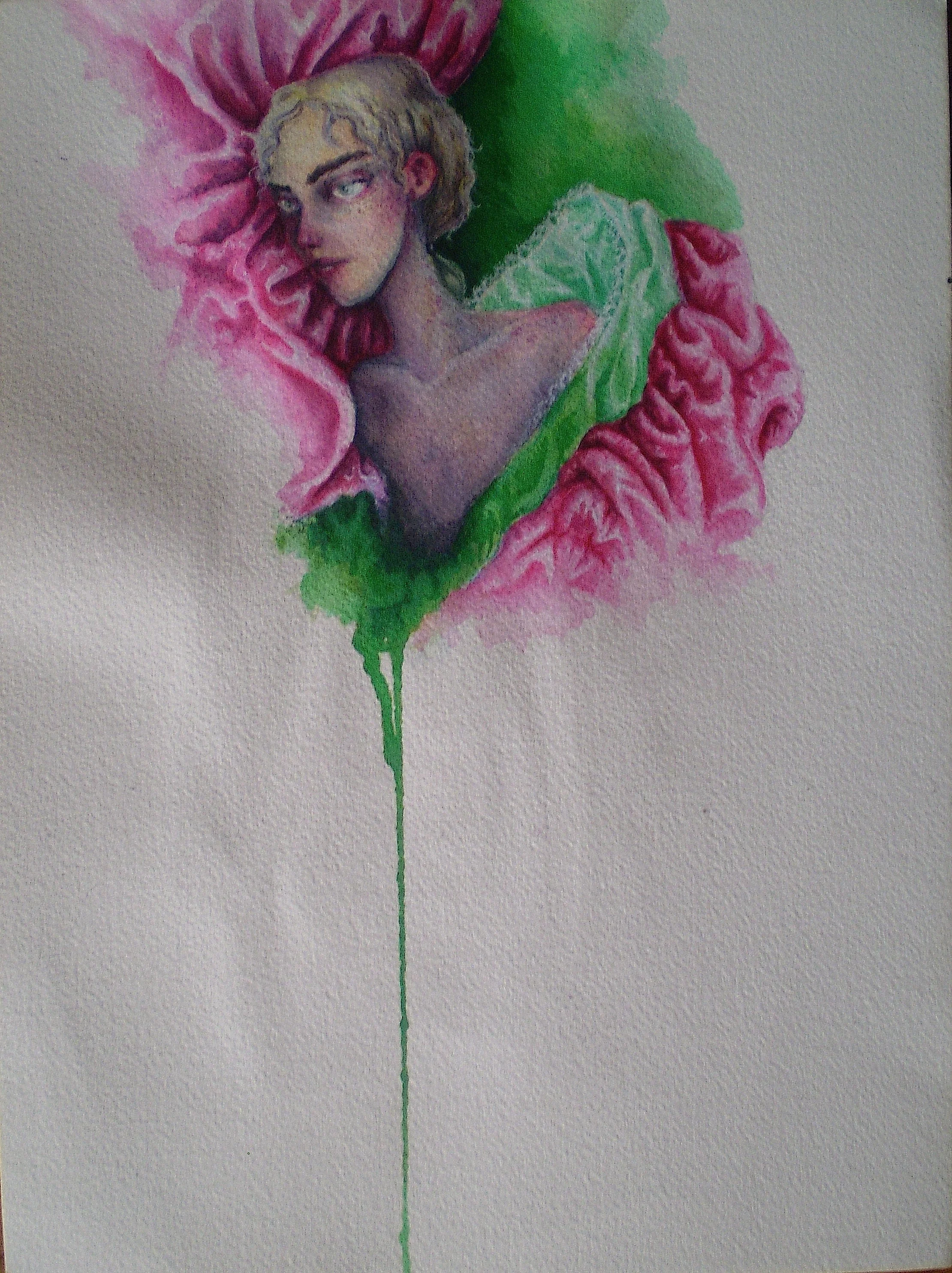 Double Shell Homunculus