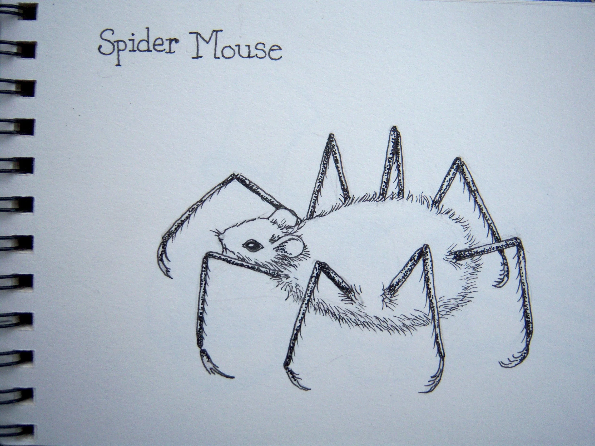 Spidermouse