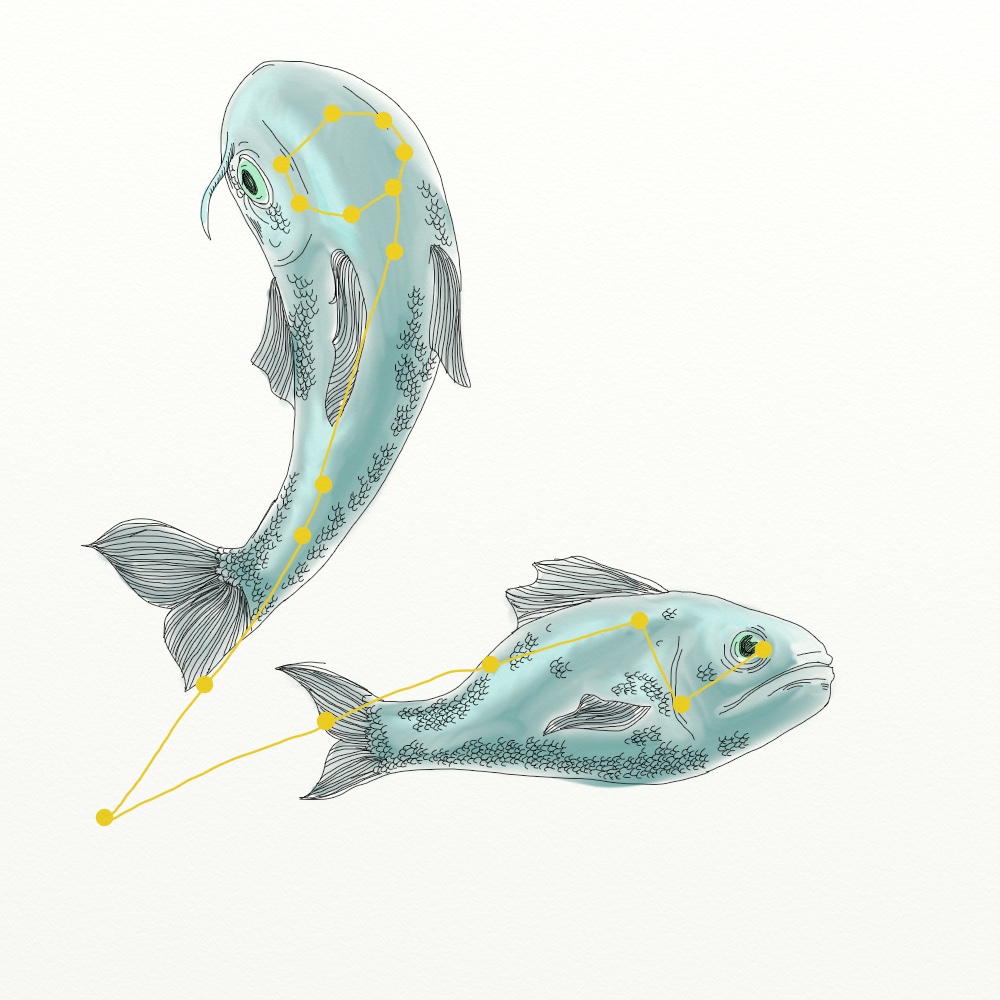 2016 Horoscope: Pisces