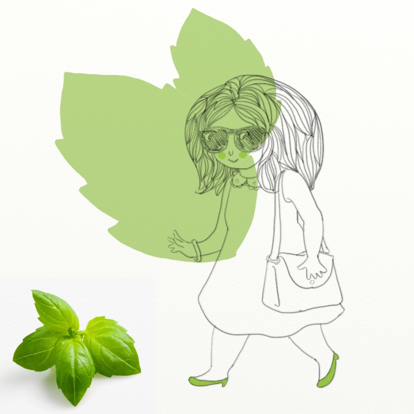 Herbs For Happiness: Basil