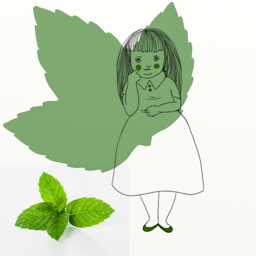 Herbs For Happiness: Mint