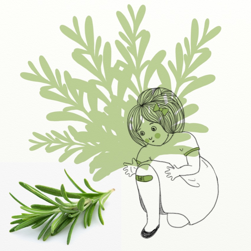 Herbs For Happiness: Rosemary