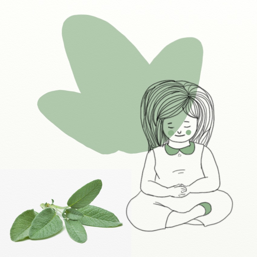 Herbs For Happiness: Sage
