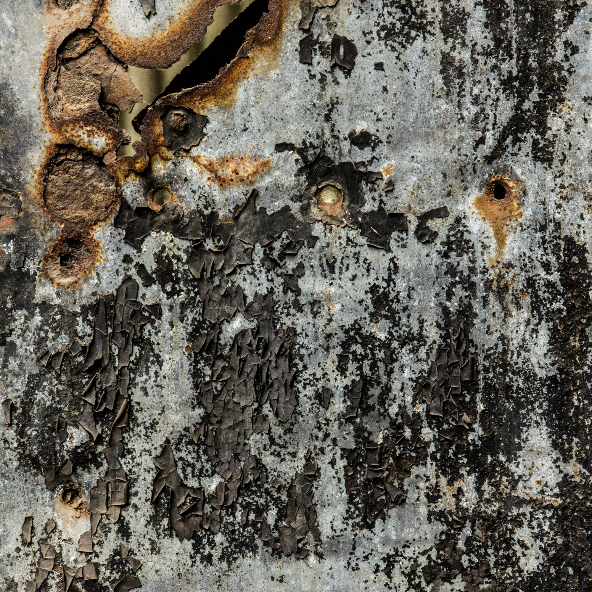 rust 6