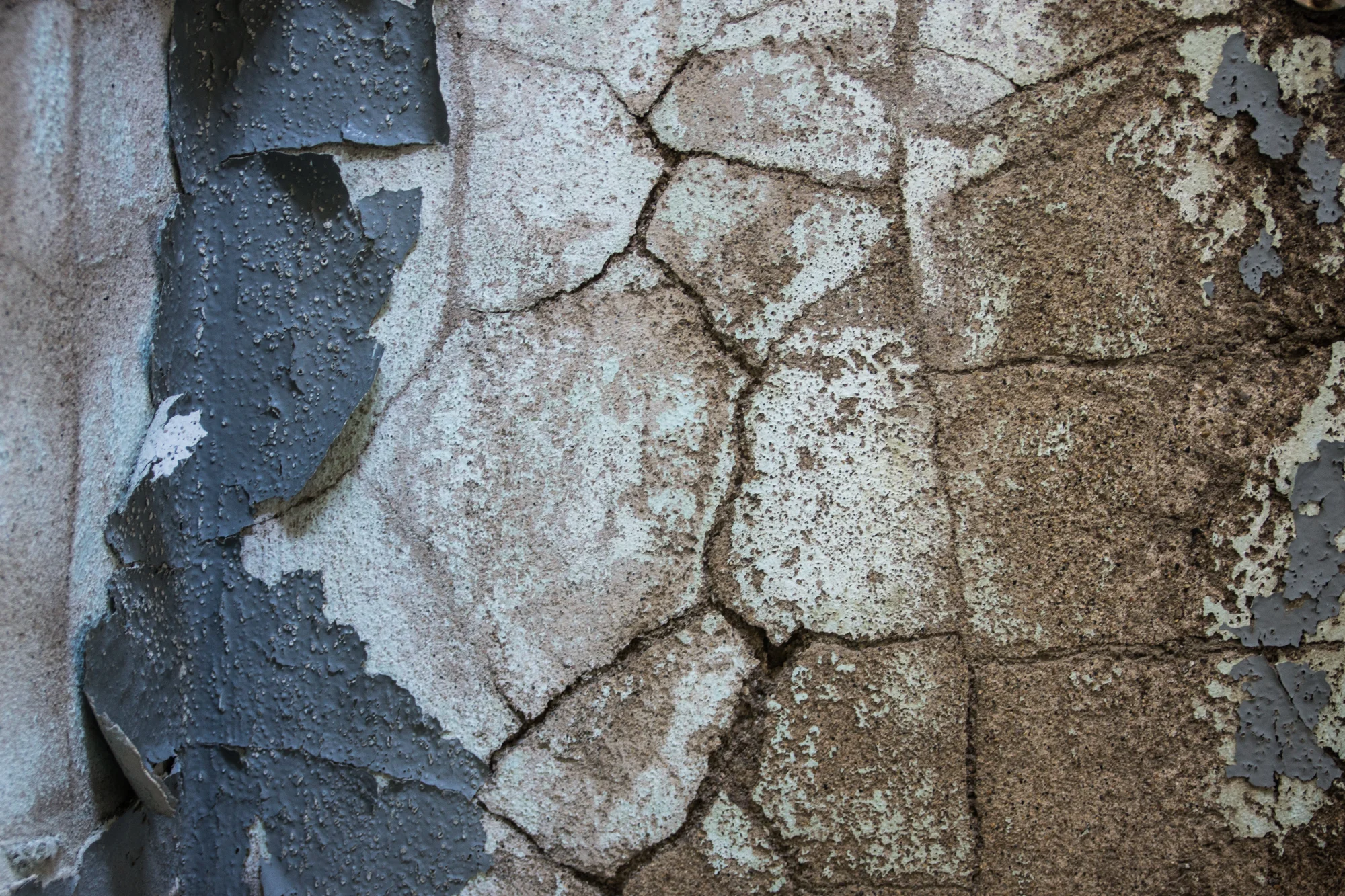 peeling paint 24