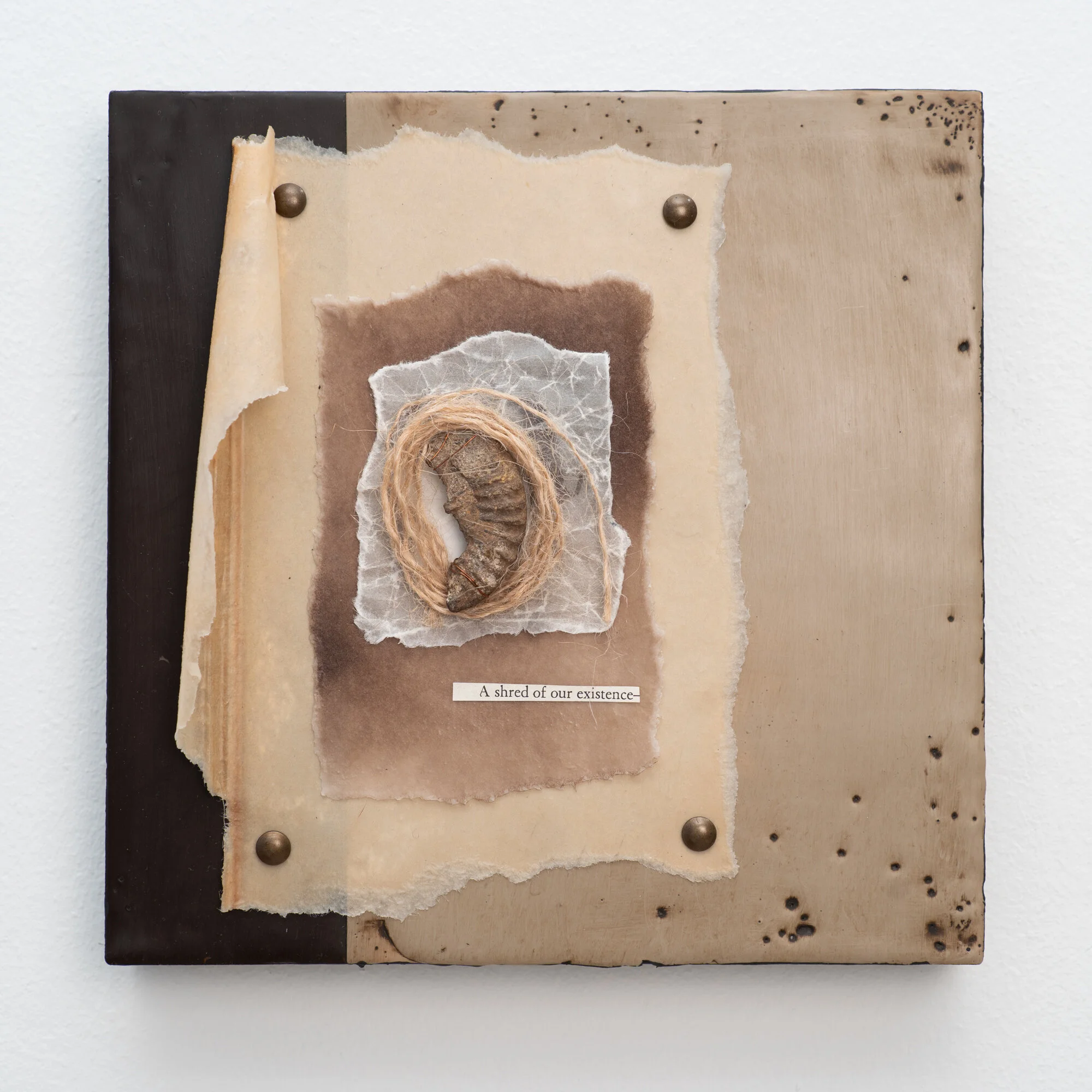 E9E6B4E5-FFDB-49EC-8AE4-4D8D4BCFD5B1