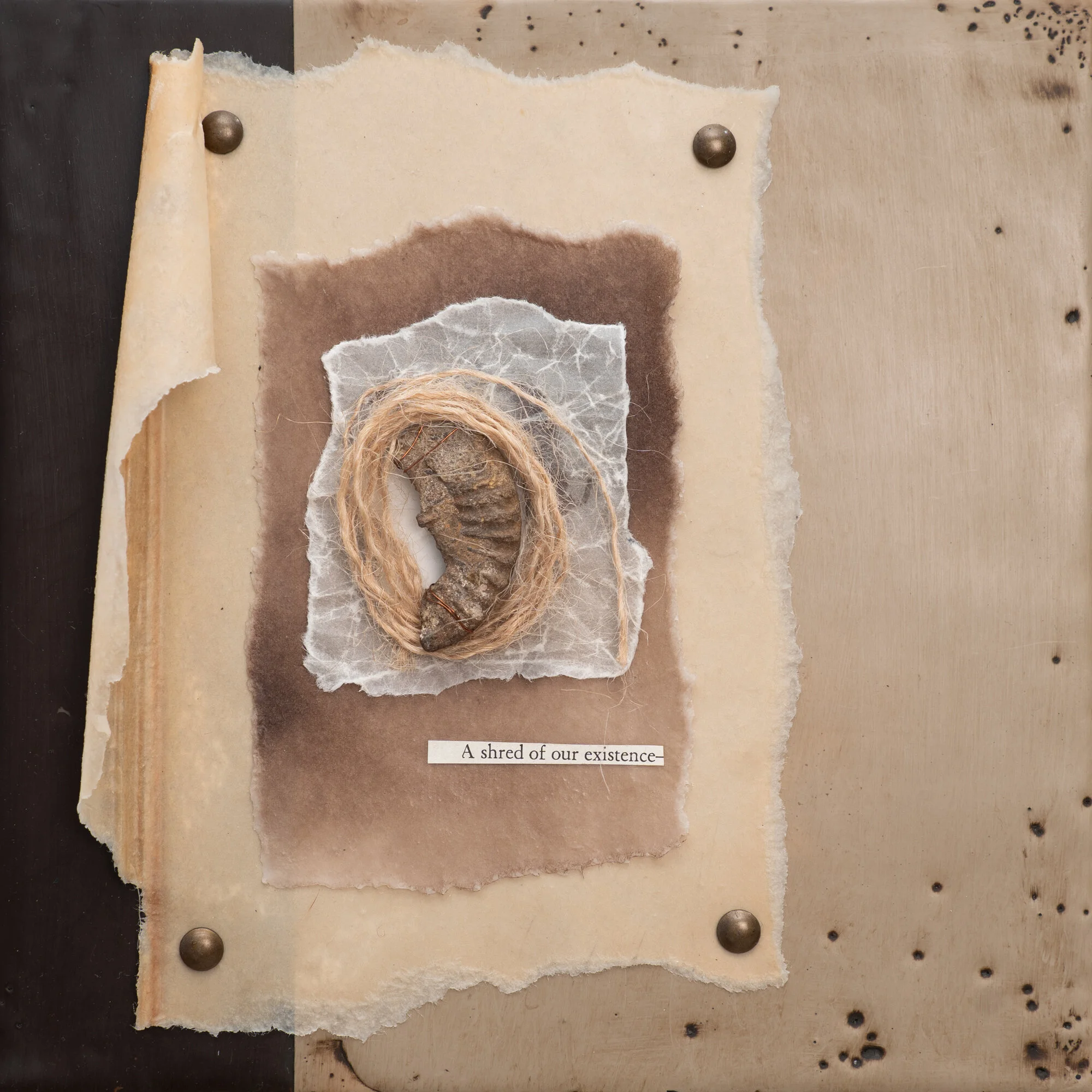 20DB5C13-38AC-480F-A01F-723594D10CD1