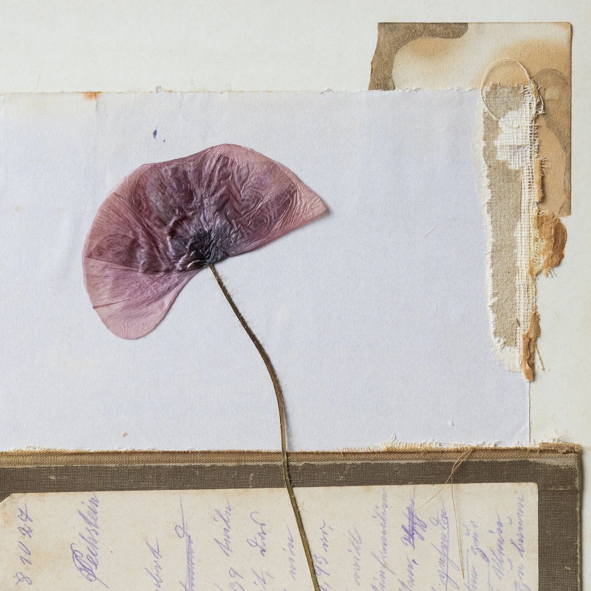 flocks of light-20.jpg