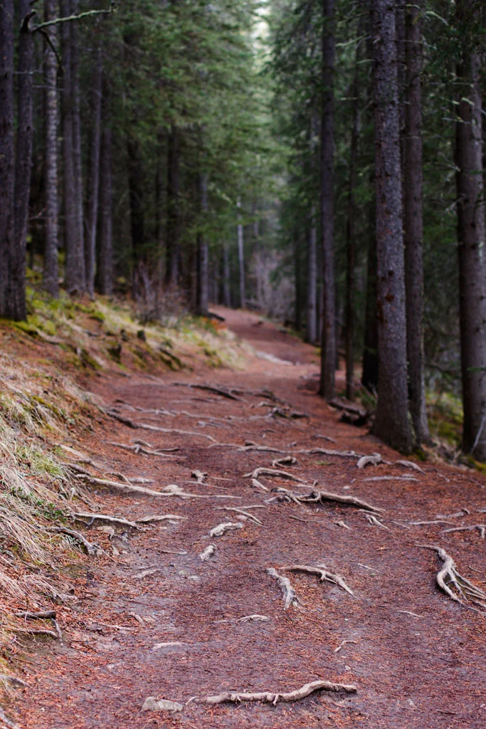 Laura Grace Photography nature landscape
