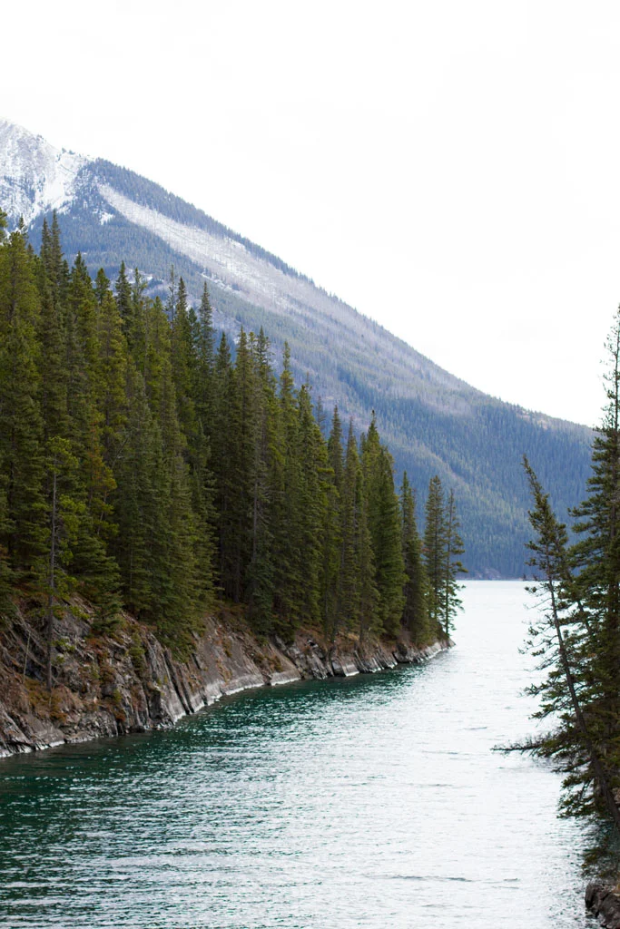 Laura Grace Photography nature landscape
