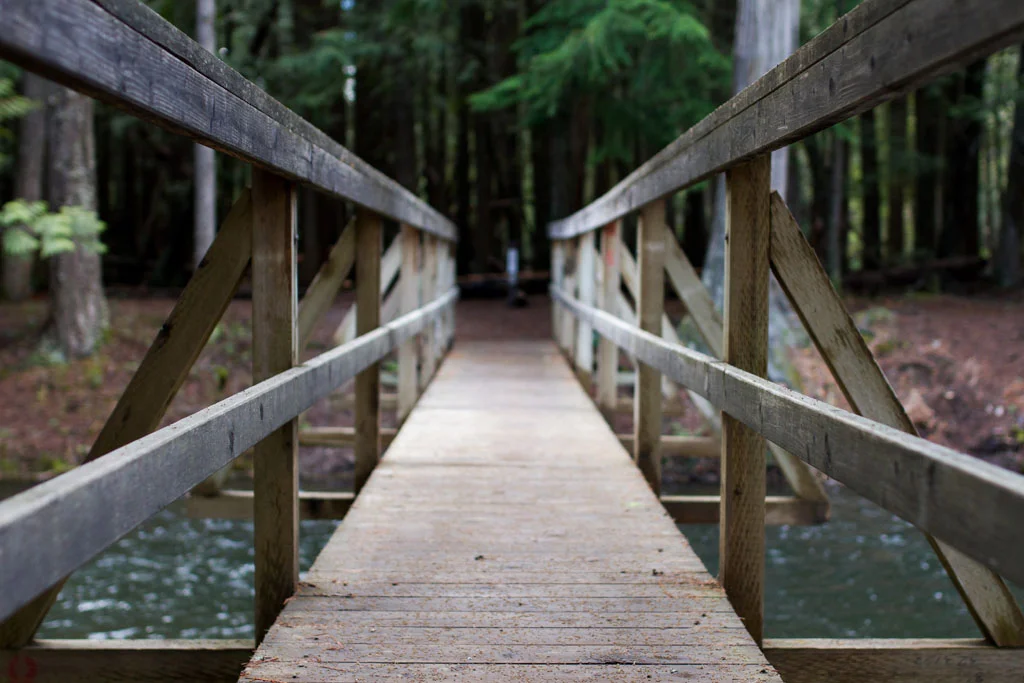 Laura Grace Photography nature landscape