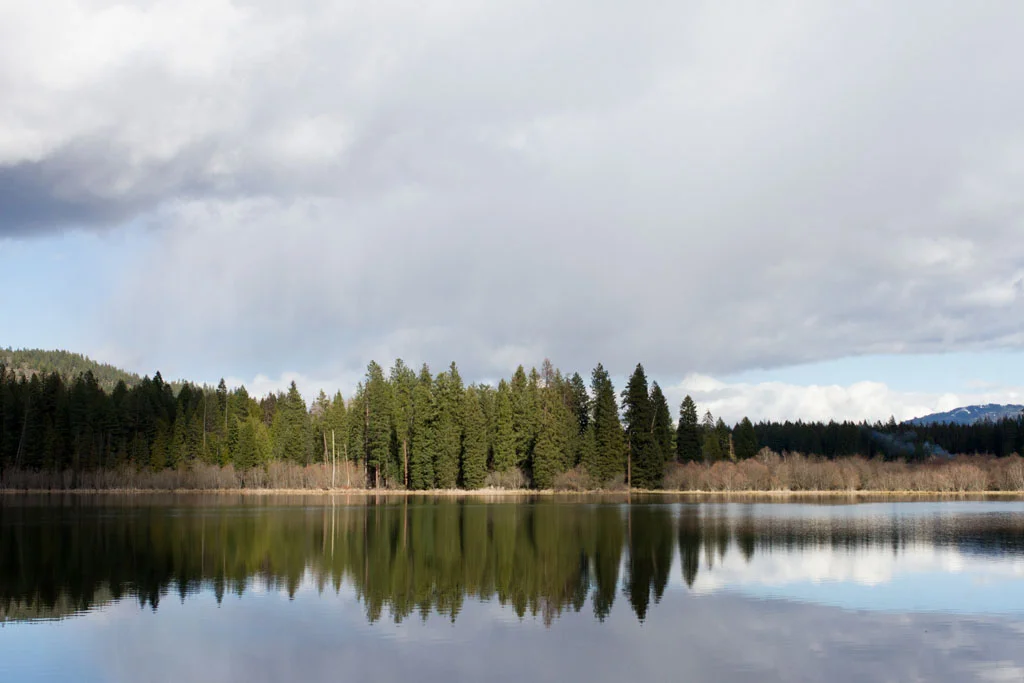 Laura Grace Photography nature landscape