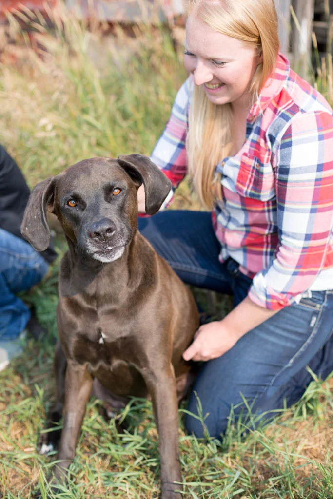 Laura Grace Photography pet portraits